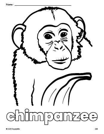 Free printable chimpanzee coloring page for preschool, pre-k, and kindergarten, PDF