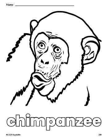 Free printable chimpanzee coloring page for preschool, pre-k, and kindergarten, PDF