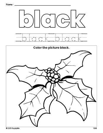 Free Christmas holly color black coloring page and color worksheet, black worksheet for preschoolers to learn colors, printable PDF