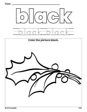 Free Christmas holly color black coloring page and color worksheet, black worksheet for preschoolers to learn colors, printable PDF