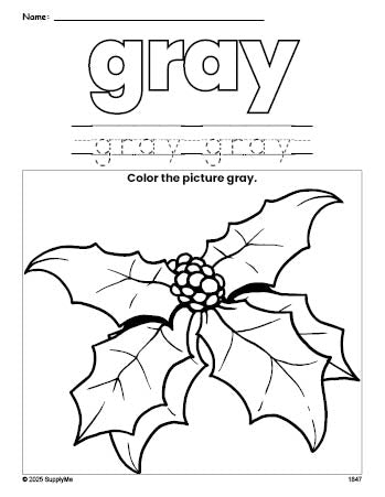 Free Christmas holly color gray coloring page and color worksheet, gray worksheet for preschoolers to learn colors, printable PDF