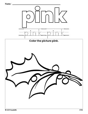 Free Christmas holly color pink coloring page and color worksheet, pink worksheet for preschoolers to learn colors, printable PDF