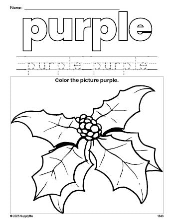 Free Christmas holly color purple coloring page and color worksheet, purple worksheet for preschoolers to learn colors, printable PDF