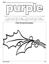 Free Christmas holly color purple coloring page and color worksheet, purple worksheet for preschoolers to learn colors, printable PDF