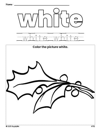 Free Christmas holly color white coloring page and color worksheet, white worksheet for preschoolers to learn colors, printable PDF