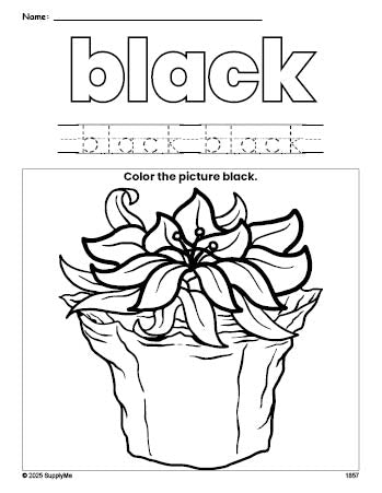 Free Christmas poinsettia color black coloring page and color worksheet, black worksheet for preschoolers to learn colors, printable PDF