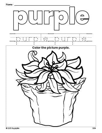 Free Christmas poinsettia color purple coloring page and color worksheet, purple worksheet for preschoolers to learn colors, printable PDF