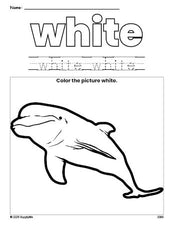 Free dolphin color white coloring page and color worksheet, white worksheet for preschoolers to learn colors, printable PDF