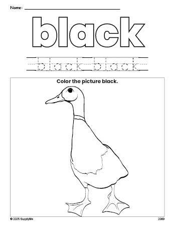 Free duck color black coloring page and color worksheet, black worksheet for preschoolers to learn colors, printable PDF