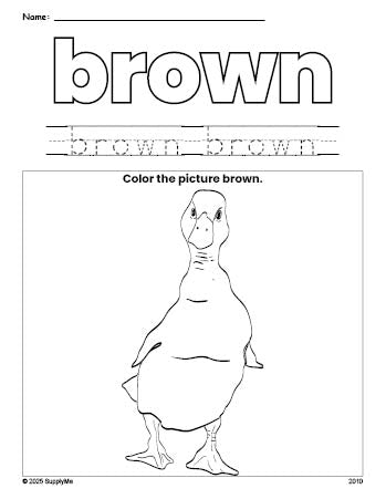 Free duck color brown coloring page and color worksheet, brown worksheet for preschoolers to learn colors, printable PDF