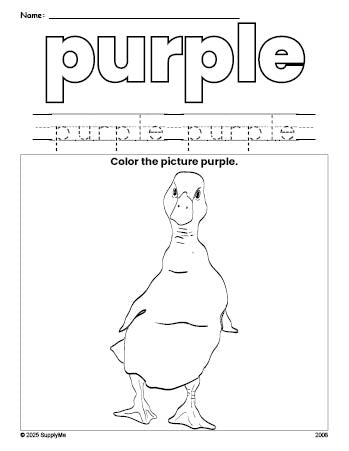 Free duck color purple coloring page and color worksheet, purple worksheet for preschoolers to learn colors, printable PDF