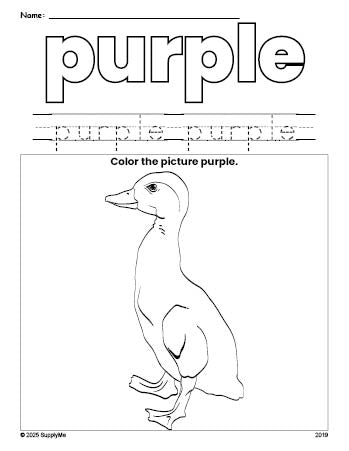 Free duck color purple coloring page and color worksheet, purple worksheet for preschoolers to learn colors, printable PDF