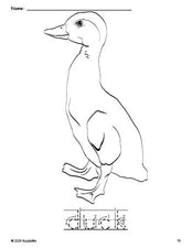 Free printable duck coloring page and word tracing worksheet, letter formation guides, perfect for preschool, pre-k, and kindergarten, PDF