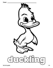 Free printable duckling coloring page for preschool, pre-k, and kindergarten, PDF