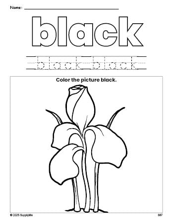 Free flower color black coloring page and color worksheet, black worksheet for preschoolers to learn colors, printable PDF