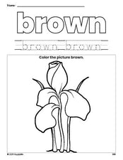 Free flower color brown coloring page and color worksheet, brown worksheet for preschoolers to learn colors, printable PDF