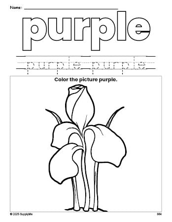 Free flower color purple coloring page and color worksheet, purple worksheet for preschoolers to learn colors, printable PDF