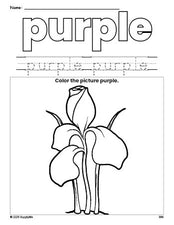 Free flower color purple coloring page and color worksheet, purple worksheet for preschoolers to learn colors, printable PDF