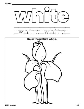 Free flower color white coloring page and color worksheet, white worksheet for preschoolers to learn colors, printable PDF