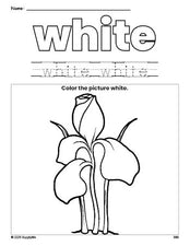 Free flower color white coloring page and color worksheet, white worksheet for preschoolers to learn colors, printable PDF