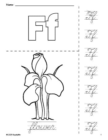 Free printable flower coloring page and cursive letter tracing worksheet, letter f worksheet for preschool, pre-k, and kindergarten, PDF