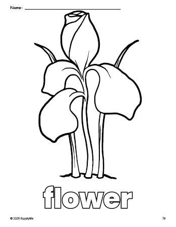 Free printable flower coloring page for preschool, pre-k, and kindergarten, PDF