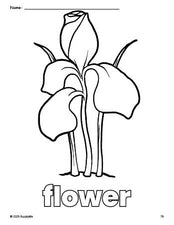 Free printable flower coloring page for preschool, pre-k, and kindergarten, PDF