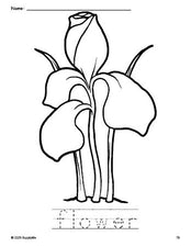 Free printable flower coloring page and word tracing worksheet, perfect for preschool, pre-k, and kindergarten, PDF