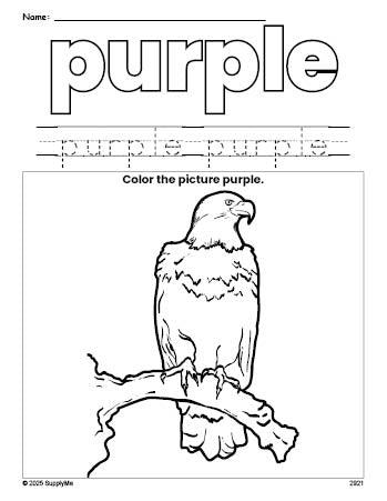 Free Fourth of July bald eagle color purple coloring page and color worksheet, purple worksheet for preschoolers to learn colors, printable PDF