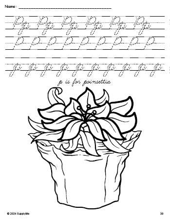 Free printable poinsettia Christmas coloring page, cursive letter tracing worksheet, letter p worksheet for preschool, pre-k, and kindergarten