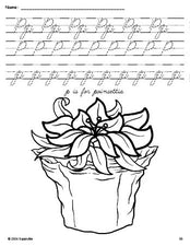 Free printable poinsettia Christmas coloring page, cursive letter tracing worksheet, letter p worksheet for preschool, pre-k, and kindergarten