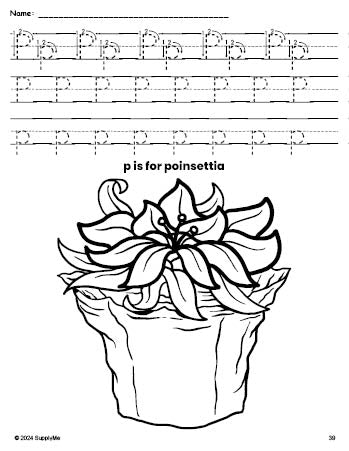 Free printable poinsettia Christmas coloring page, letter p tracing worksheet for preschool, pre-k, and kindergarten