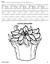 Free printable poinsettia Christmas coloring page, letter p tracing worksheet for preschool, pre-k, and kindergarten