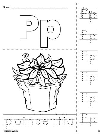 Free printable poinsettia Christmas coloring page and letter tracing worksheet, letter p worksheet for preschool, pre-k, and kindergarten