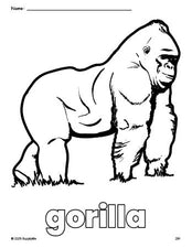 Free printable gorilla coloring page for preschool, pre-k, and kindergarten, PDF