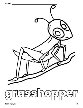 Free printable grasshopper coloring page for preschool, pre-k, and kindergarten, PDF