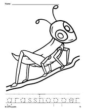 Free printable grasshopper coloring page and word tracing worksheet, perfect for preschool, pre-k, and kindergarten, PDF