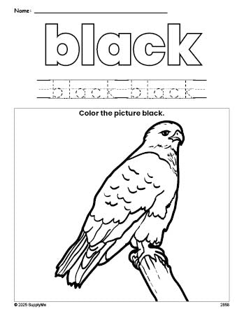 Free hawk color black coloring page and color worksheet, black worksheet for preschoolers to learn colors, printable PDF