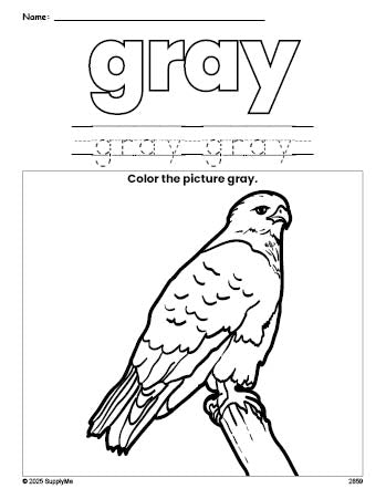 Free hawk color gray coloring page and color worksheet, gray worksheet for preschoolers to learn colors, printable PDF