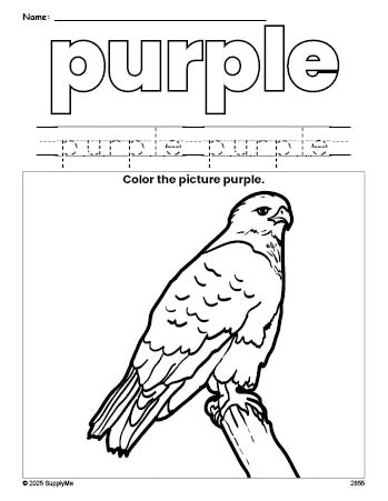 Free hawk color purple coloring page and color worksheet, purple worksheet for preschoolers to learn colors, printable PDF