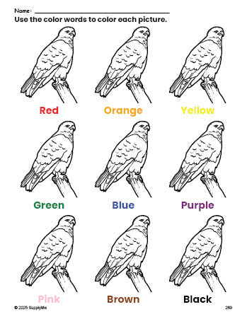 Free hawk coloring page and color worksheet for preschoolers to learn colors, printable PDF