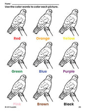 Free hawk coloring page and color worksheet for preschoolers to learn colors, printable PDF