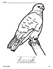 Free printable hawk coloring page and cursive word tracing worksheet, perfect for preschool, pre-k, and kindergarten, PDF