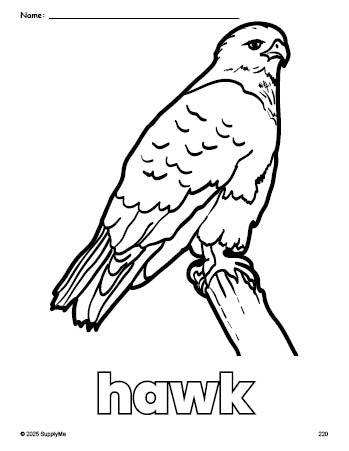 Free printable hawk coloring page for preschool, pre-k, and kindergarten, PDF