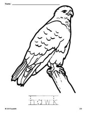 Free printable hawk coloring page and word tracing worksheet, perfect for preschool, pre-k, and kindergarten, PDF