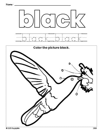 Free humming bird color black coloring page and color worksheet, black worksheet for preschoolers to learn colors, printable PDF