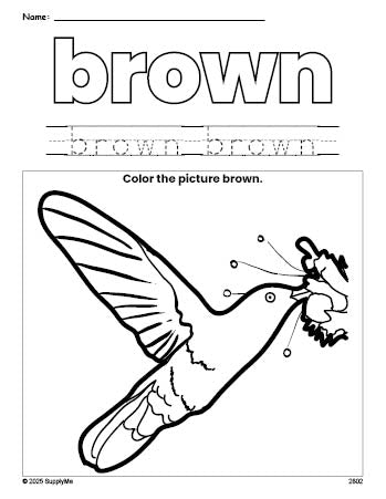 Free humming bird color brown coloring page and color worksheet, brown worksheet for preschoolers to learn colors, printable PDF