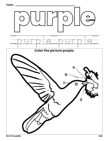 Free humming bird color purple coloring page and color worksheet, purple worksheet for preschoolers to learn colors, printable PDF