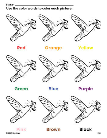 Free humming bird coloring page and color worksheet for preschoolers to learn colors, printable PDF