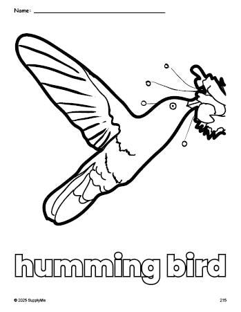 Free printable humming bird coloring page for preschool, pre-k, and kindergarten, PDF